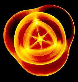 From the cover of Hans Jenny's book Cymatics 2